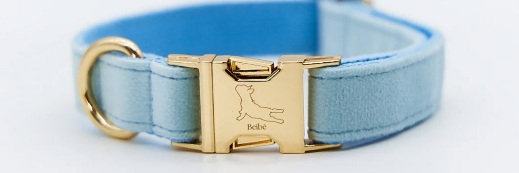 Correas para perros con estilo