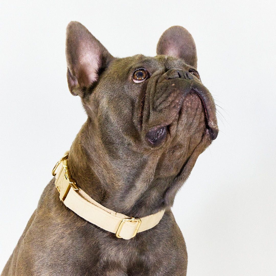 Collar 'Sand'