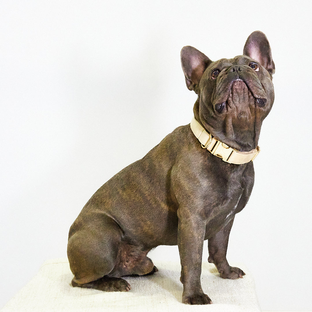 Collar 'Sand'