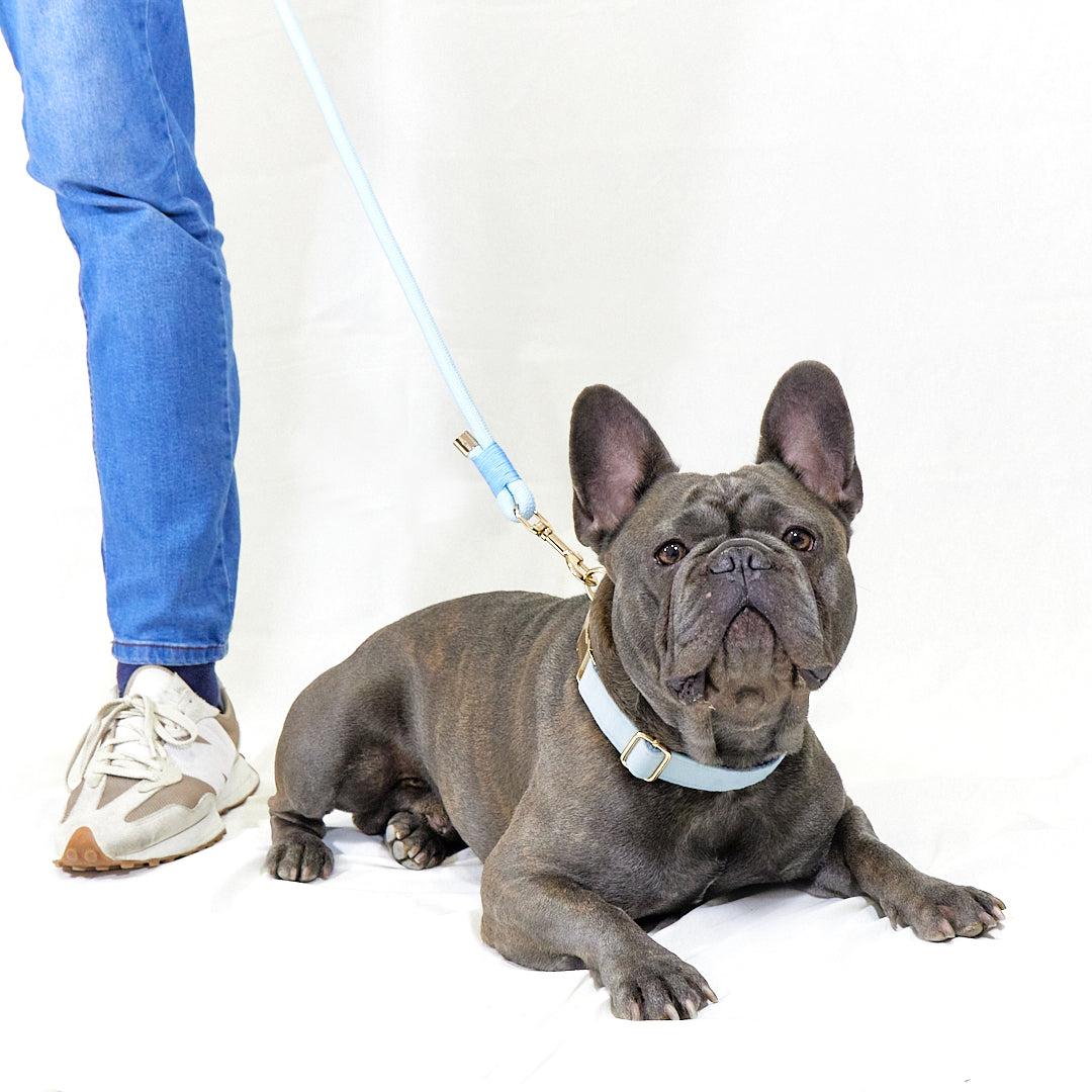 Pack Paseo "Baby Blue"