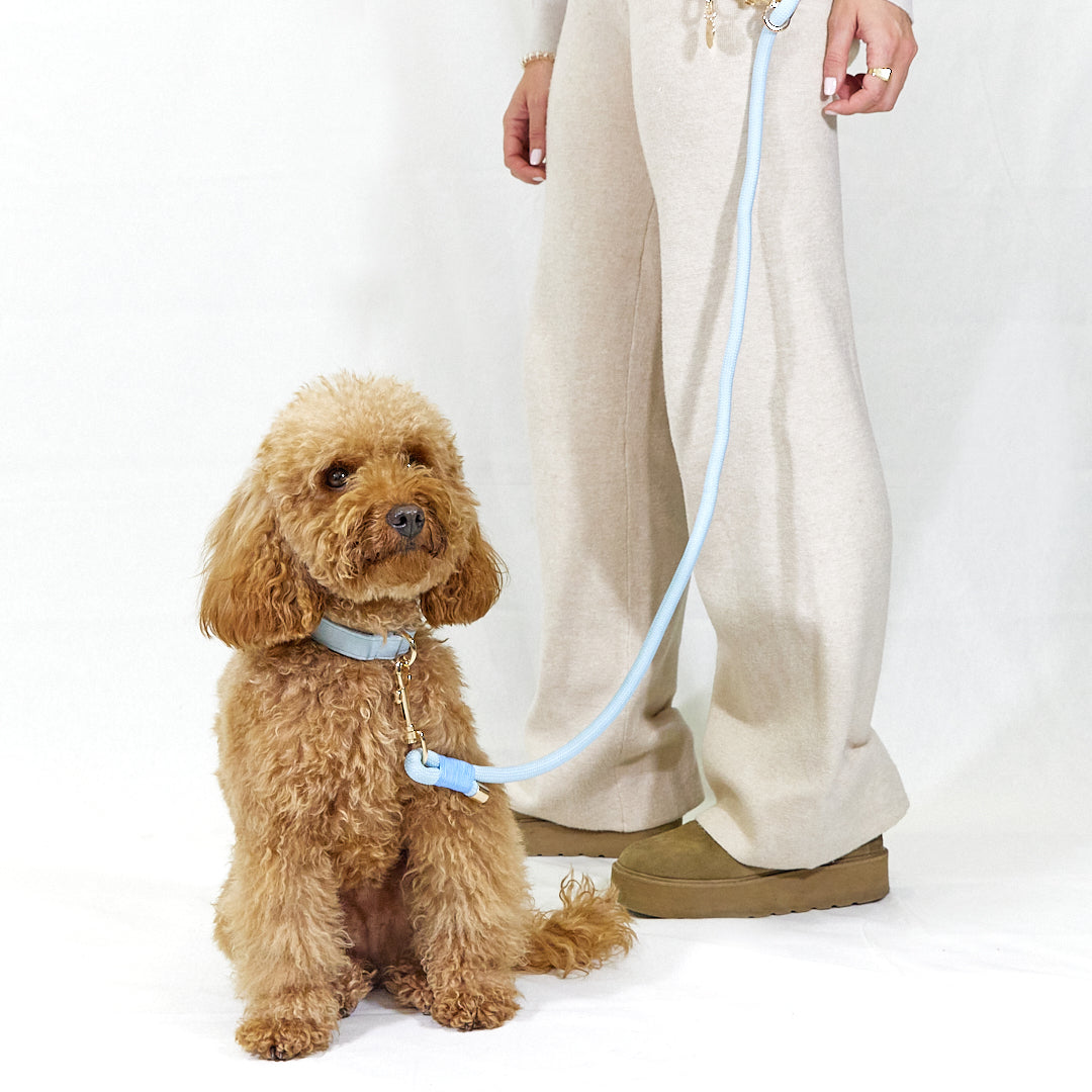 Pack Paseo "Baby Blue"
