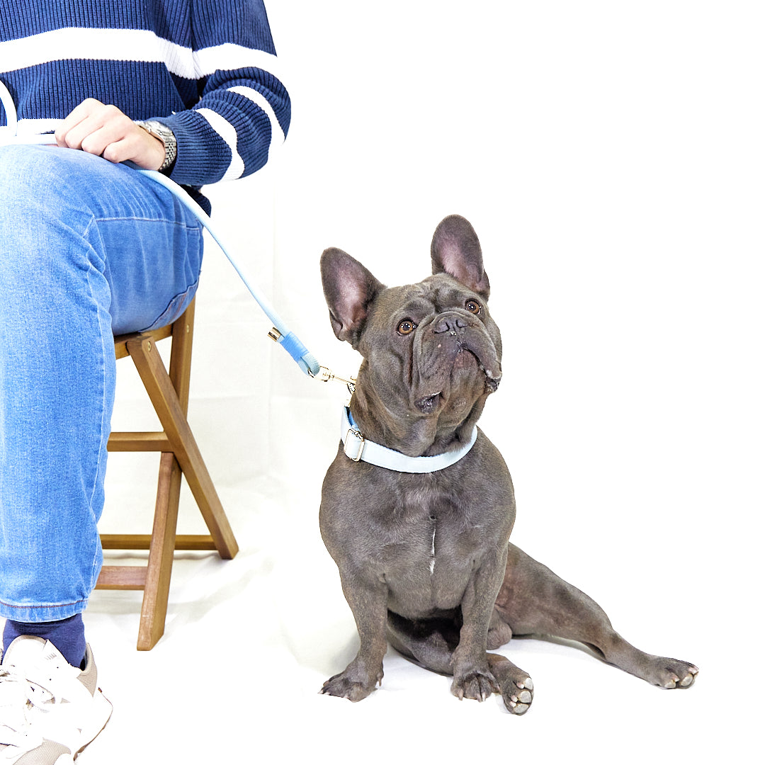 Pack Paseo "Baby Blue"