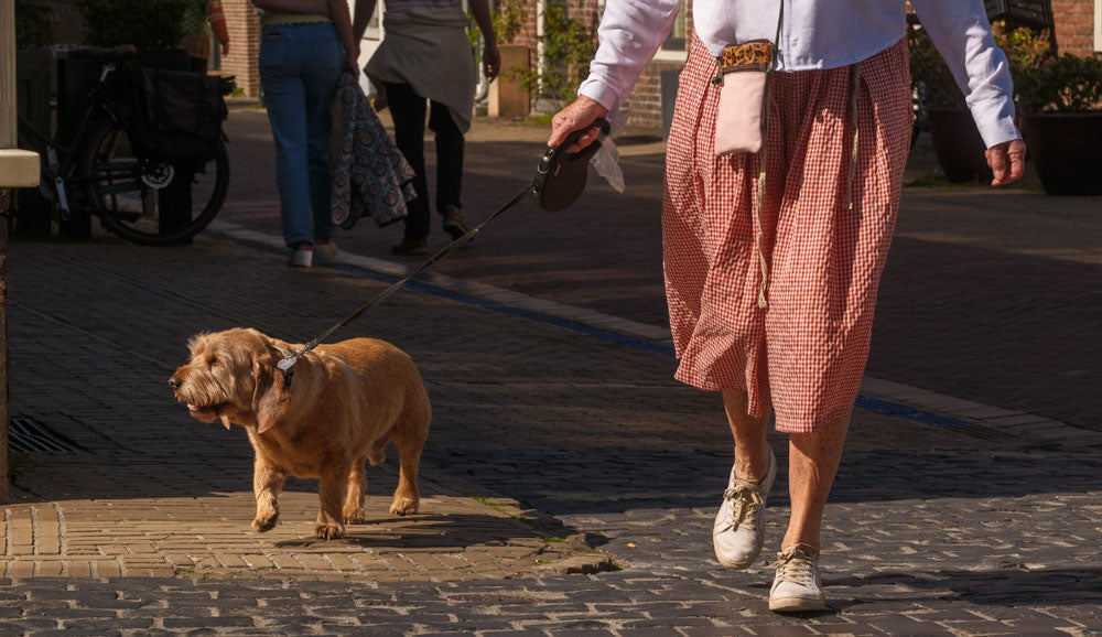 ¿Cuánto tiempo sacar a pasear a mi perro?